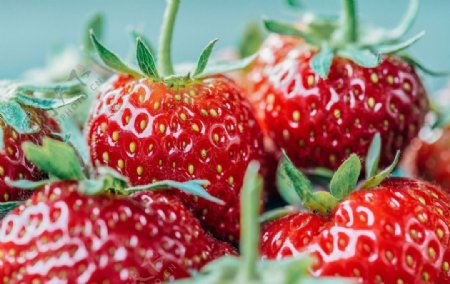 新鲜水果草莓高清微距摄影