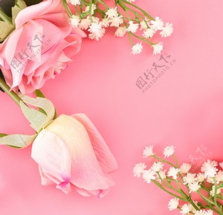 粉色鲜花浪漫素材背景