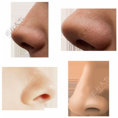 四种鼻子免抠png透明图层素材