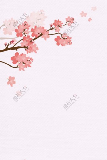 手绘水彩樱花
