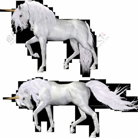 两个白色独角兽免抠png透明图层素材