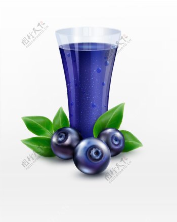 蓝莓矢量水果插画