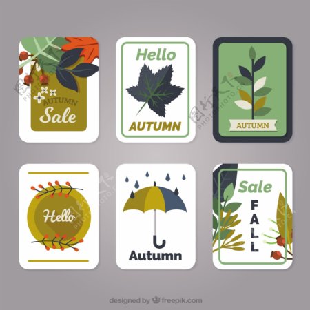 经典秋季卡片包装与平面设计