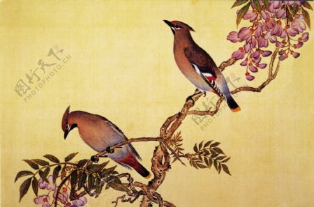 古典山水画系列枝头上的鸟下载