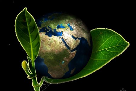 地球绿叶免抠png透明图层素材
