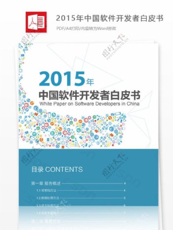 2015年中国软件开发者