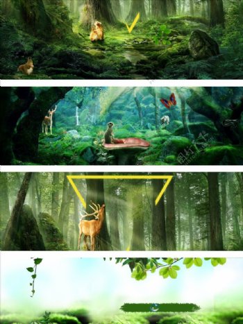 阳光梦幻森林风景海报