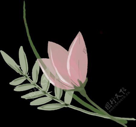 手绘简单粉色花朵png透明素材