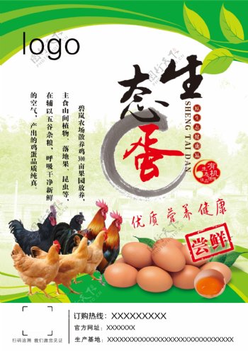 生态蛋美食宣传海报
