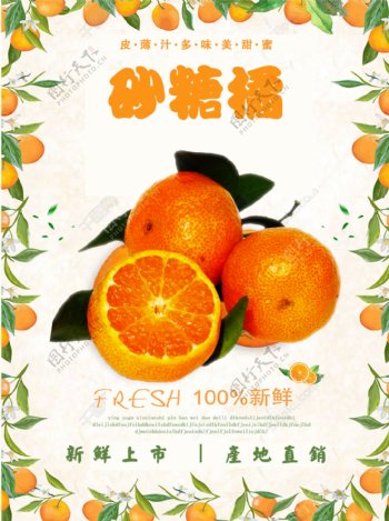 砂糖橘水果美食宣传海报设计