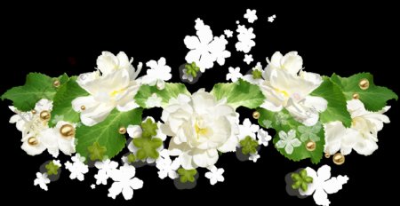 水彩韩国风白色花花边png透明素材