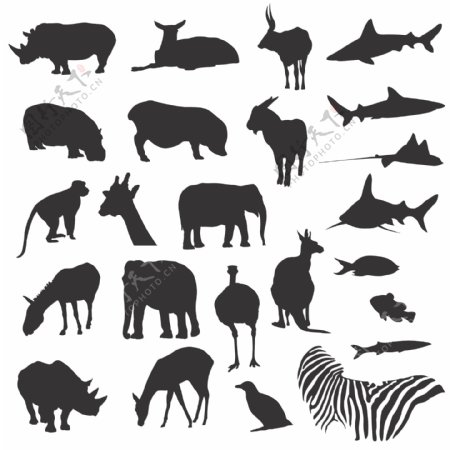 动物剪影图案