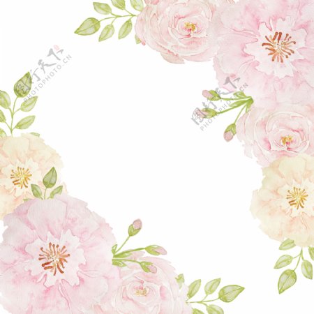 迷人粉色花卉卡通透明素材