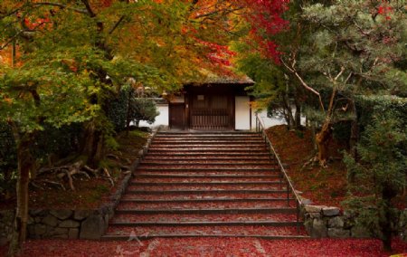 日本京都市公园秋季楼梯