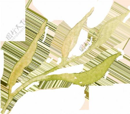 秋黄海草卡通透明装饰素材