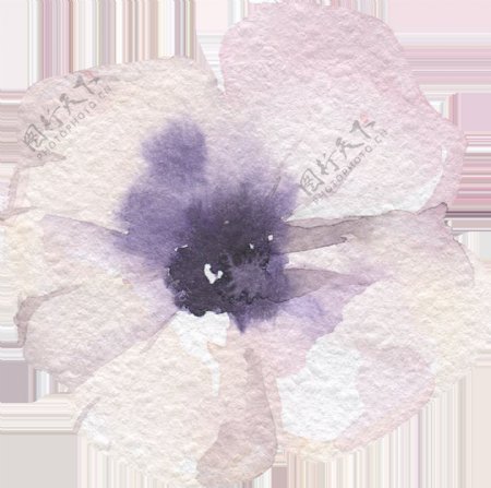 洁白油画花卉卡通水彩透明素材