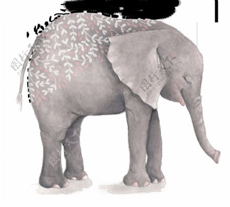 大象卡通水彩透明素材