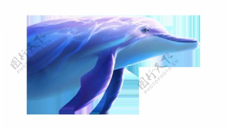 手绘大海海豚元素