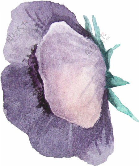 紫黄花蕊卡通水彩透明素材