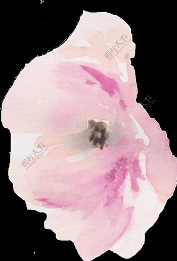 手绘水彩花朵侧面画png透明素材