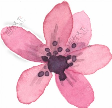 紫馨花粉卡通水彩透明素材