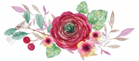 淡红玫瑰卡通水彩透明素材