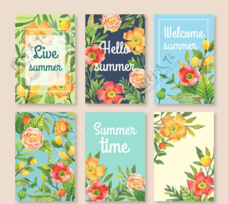 夏季花卉卡片