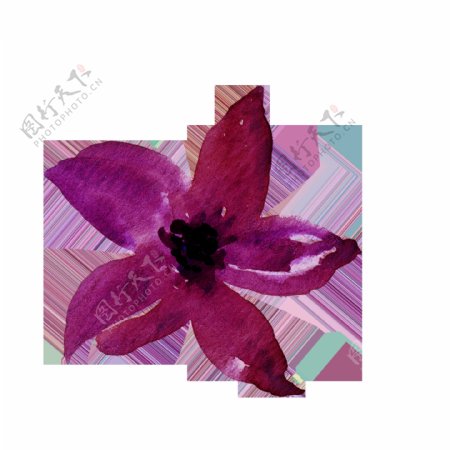 紫色樱花飘落卡通透明素材