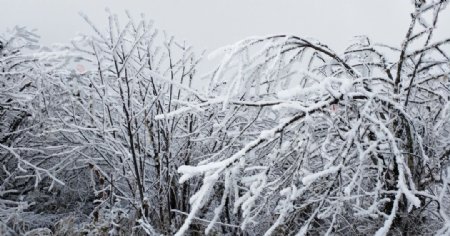 西岭雪山