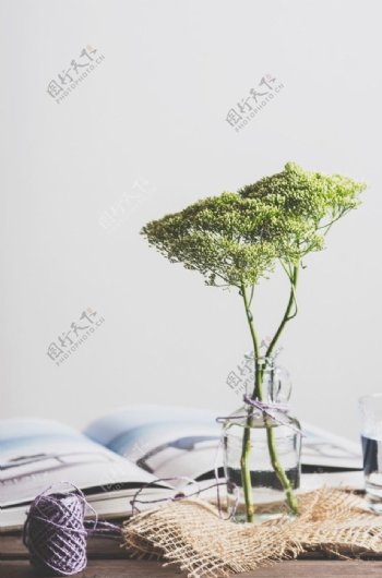 桌子上的花卉