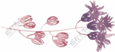 紫桃花叶卡通透明素材