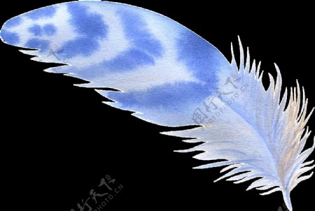 深蓝羽翼透明装饰素材