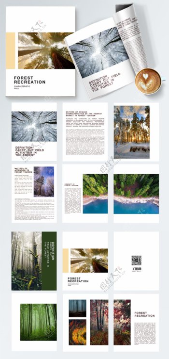 森林旅游宣传册画册