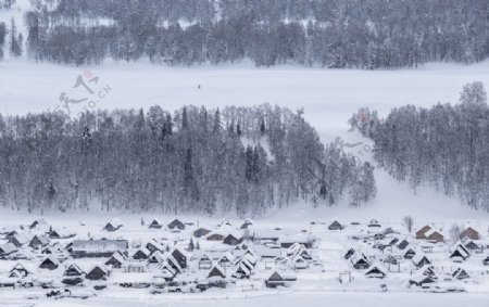 雪天下的村庄风景