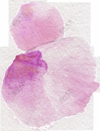 淡紫花瓣透明装饰素材