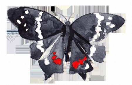 黑墨蝴蝶透明装饰素材