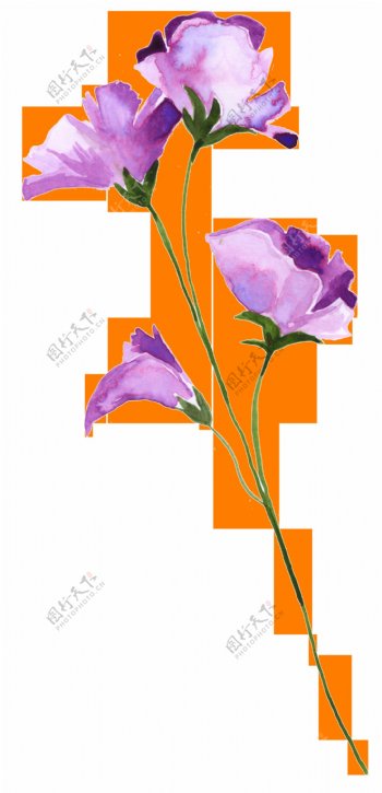 紫色花束透明装饰素材