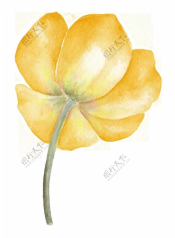 黄色美丽花卉透明装饰素材