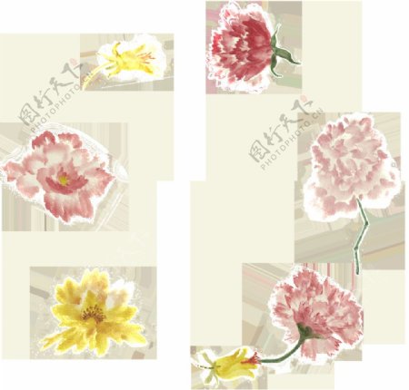 多类花卉透明装饰素材