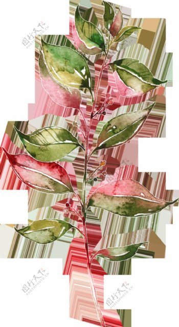 生长树叶植物透明装饰素材