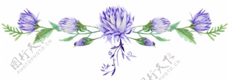 紫色高雅花卉分割线透明装饰素材