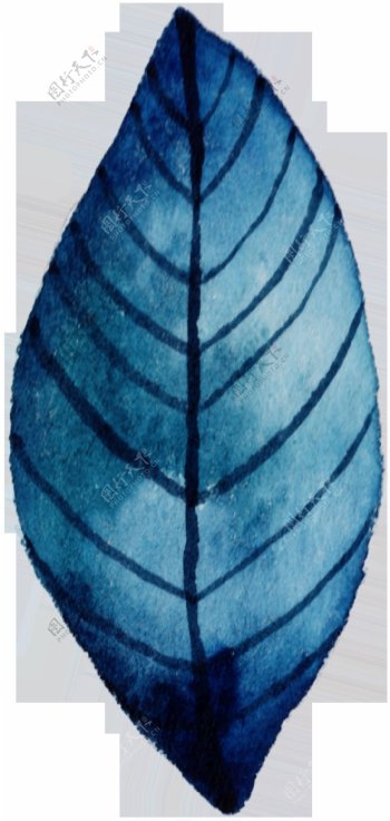 深蓝色纹理树叶免扣透明素材