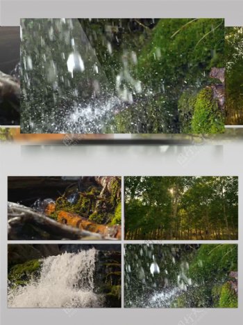 森林流水喷泉高清实拍视频素材