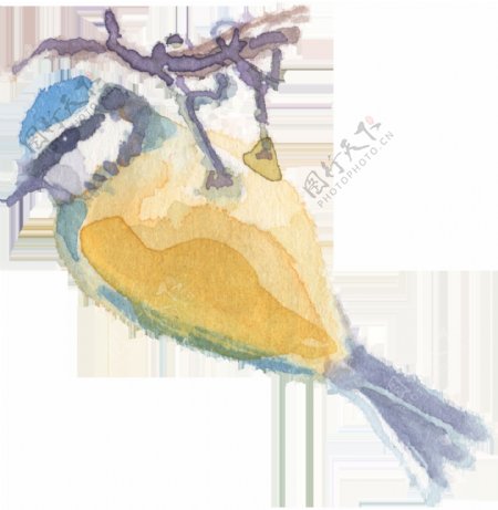 手绘抓住树枝的小鸟水彩透明素材