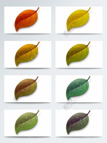 不同季节高清树叶图标素材
