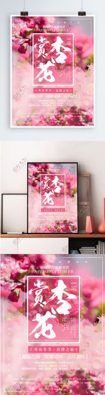 唯美粉色赏杏花旅游海报