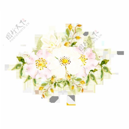 手绘洁白色花朵png透明素材