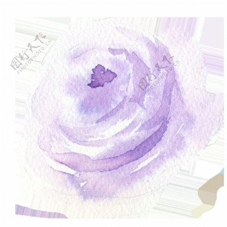 手绘浅紫色花朵PNG透明素材
