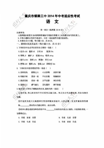 语文苏教版中考适应性考试九年级语文3
