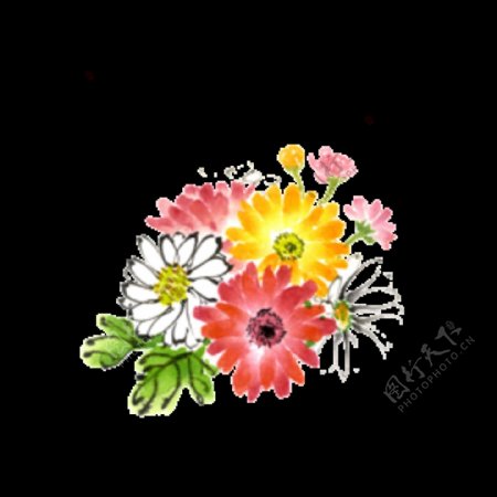 美丽彩色手绘菊花装饰元素